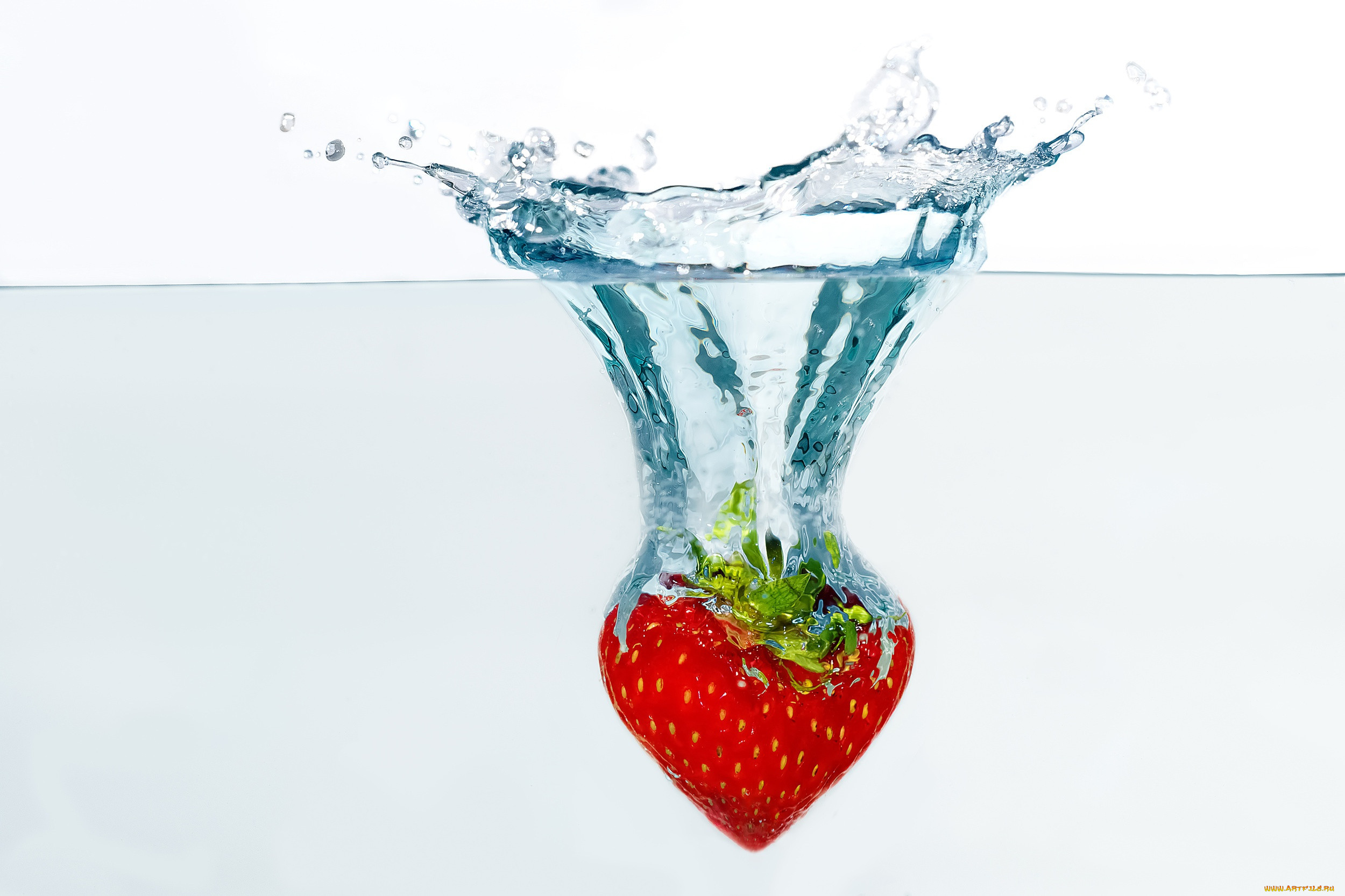 , ,  , , splash